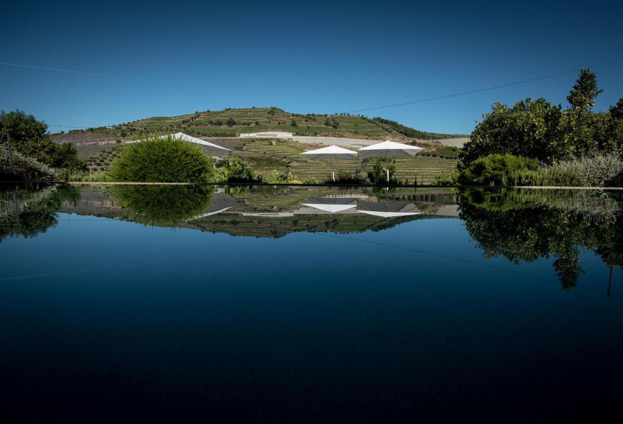 Quinta Do Vallado - Douro Wine Hotel Peso da Regua Exterior photo