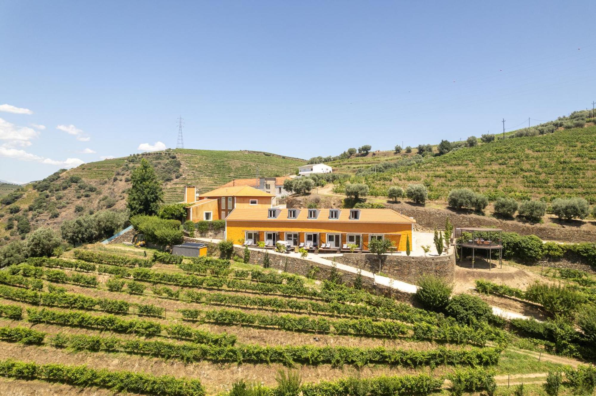 Quinta Do Vallado - Douro Wine Hotel Peso da Regua Exterior photo