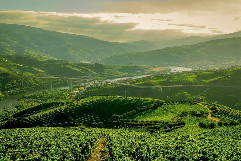 Quinta Do Vallado - Douro Wine Hotel Peso da Regua Exterior photo