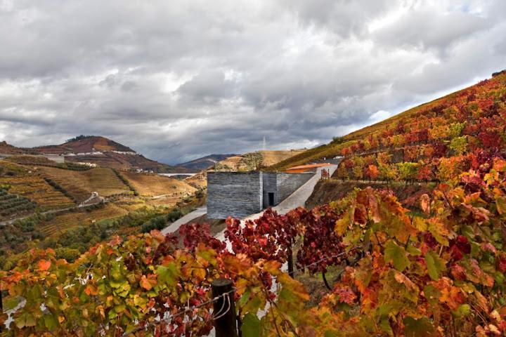 Quinta Do Vallado - Douro Wine Hotel Peso da Regua Exterior photo